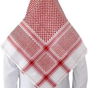 Silver Lining Chiffon Scarf