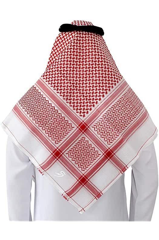 Silver Lining Chiffon Scarf